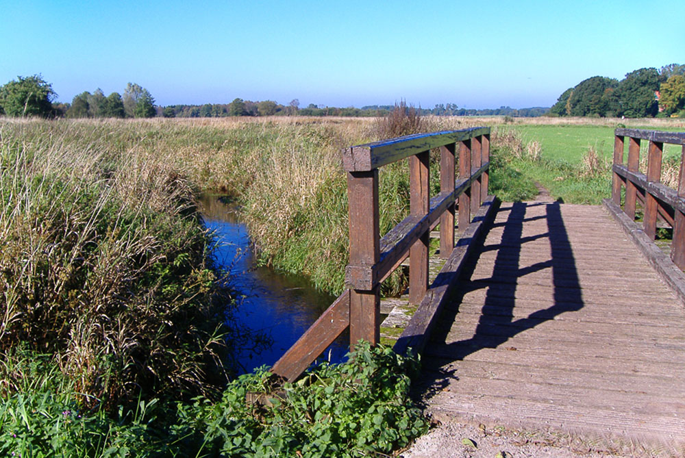 Alsterbrücke Speckel