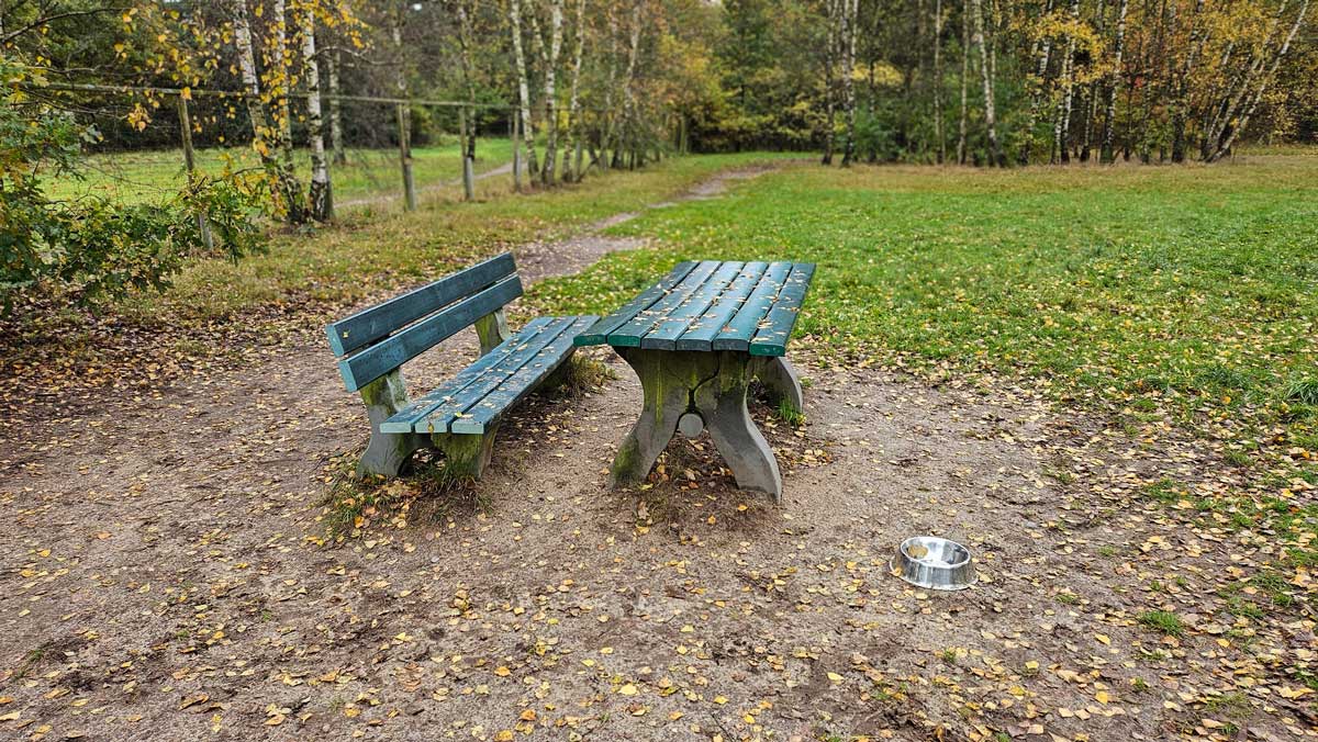 Eine von mehreren Bänken
