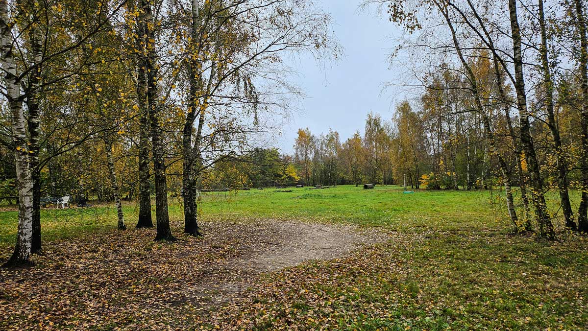 Viel Platz zum Toben