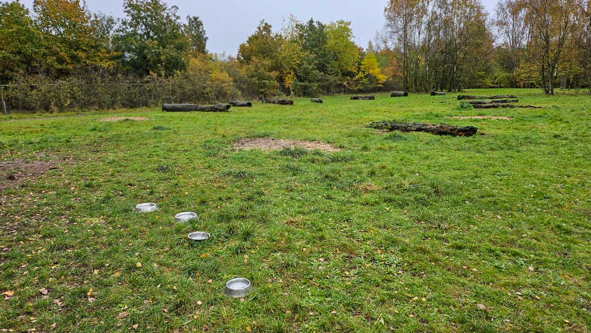 Hindernis-Parcours