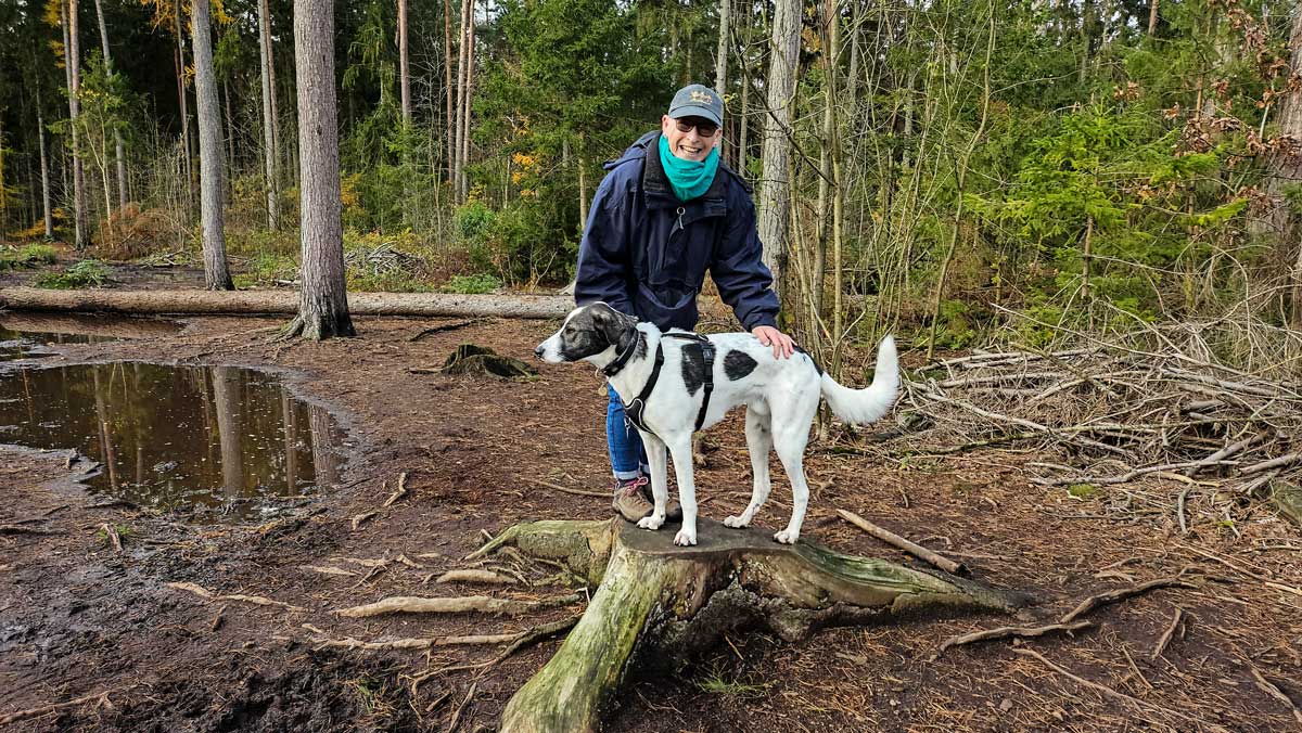 Abenteuerspielplatz für Hunde