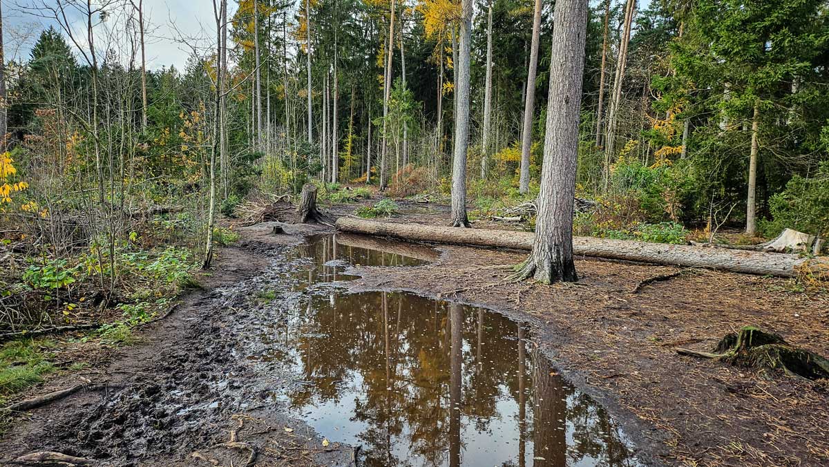 Wasserfeste Schuhe sind im Winterhalbjahr notwendig