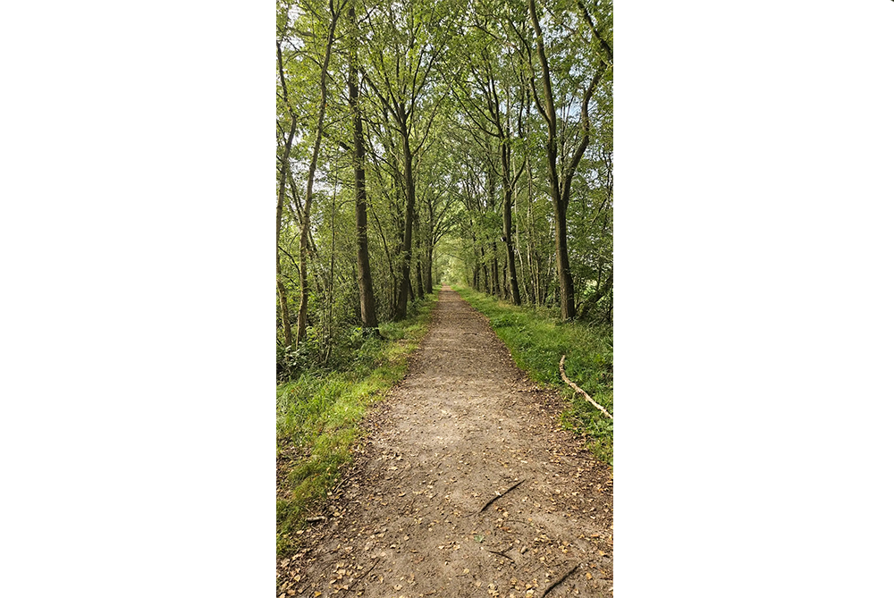 Wanderweg