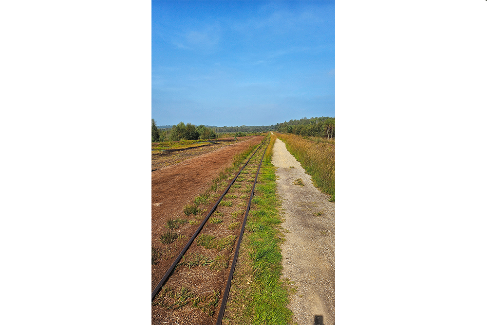 Moorbahn