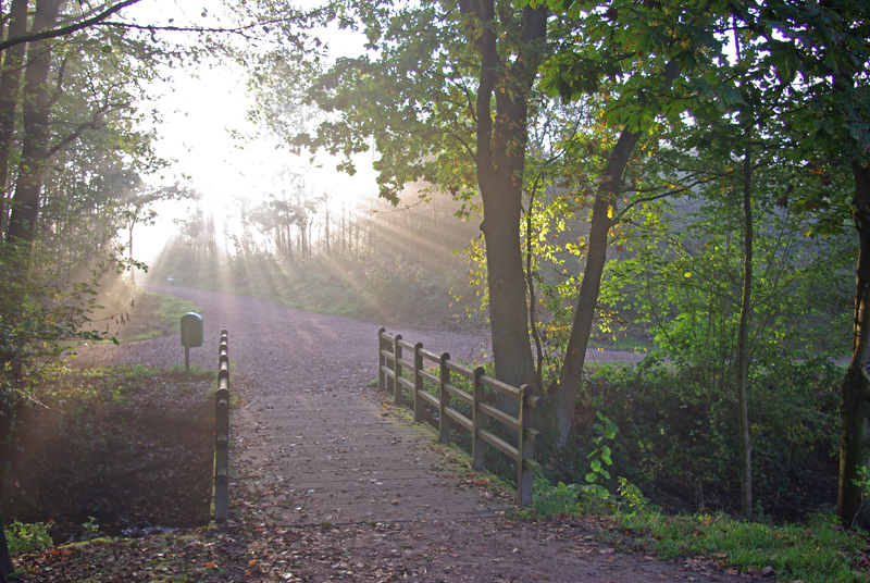 Brücke im Morgenlicht