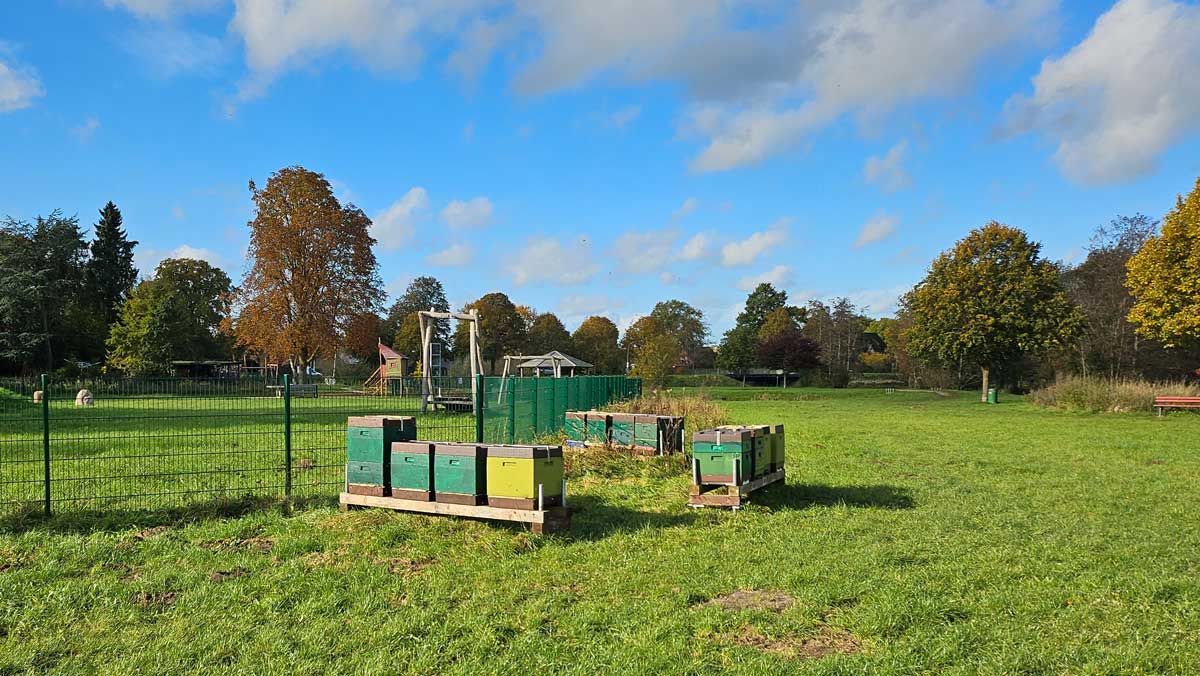 Umstritten Bienen auf dem Freilauf beim Spielplatz